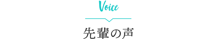Voice
先輩の声