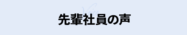 先輩社員の声