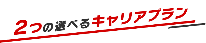 Career 2つの選べるキャリアプラン