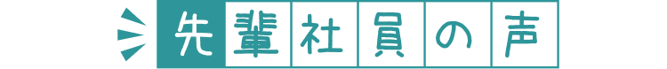 先輩社員の声
