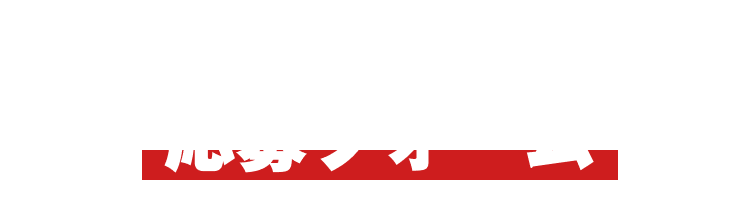 30秒で入力可能 応募フォーム