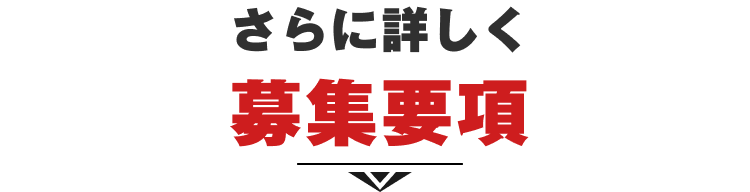 さらに詳しく
募集要項