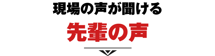 現場の声が聞ける 先輩の声