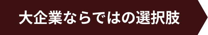大企業ならではの選択肢がある求人です