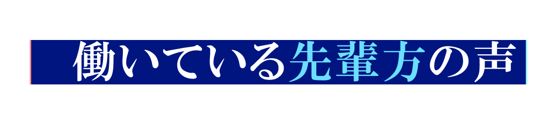 働いている先輩たちの声