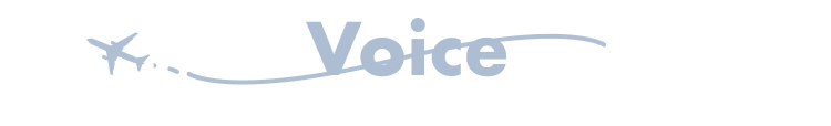 voice