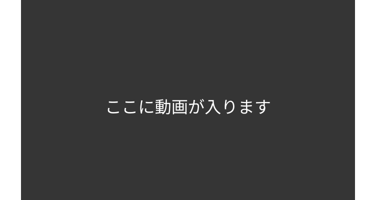 動画