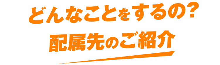 どんなことをするの？配属先のご紹介