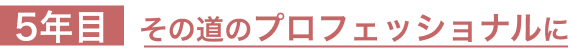 ５年目：その道のプロフェッショナルに