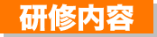 研修内容